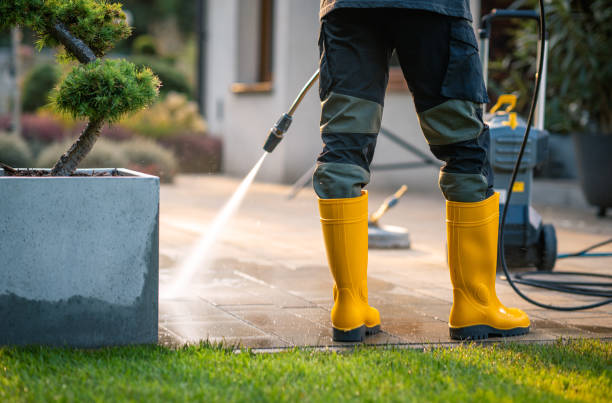Best Power Washing Near Me  in Mahtomedi, MN